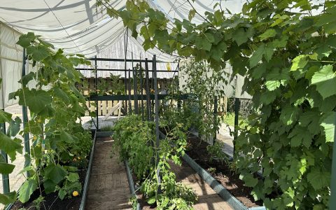 Īsts dārzs - galerija