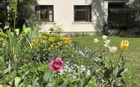 Īsts dārzs - galerija