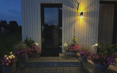 Īsts dārzs - galerija