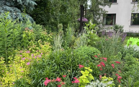 Īsts dārzs - galerija