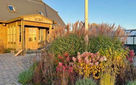 Īsts dārzs - galerija