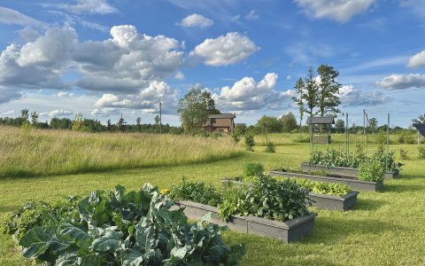 Īsts dārzs - galerija