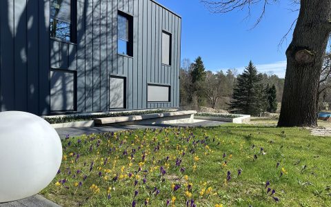 Īsts dārzs - galerija